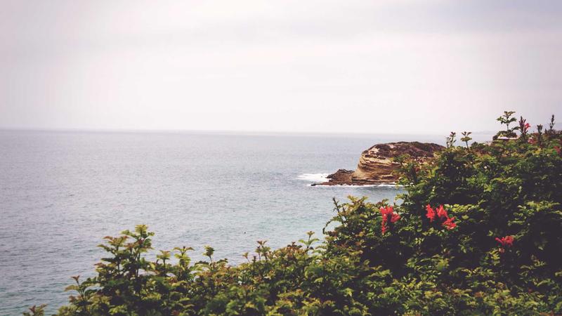 《海棠旧梦》成功案例封面